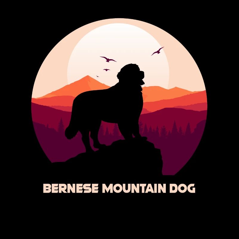 Bouvier bernois