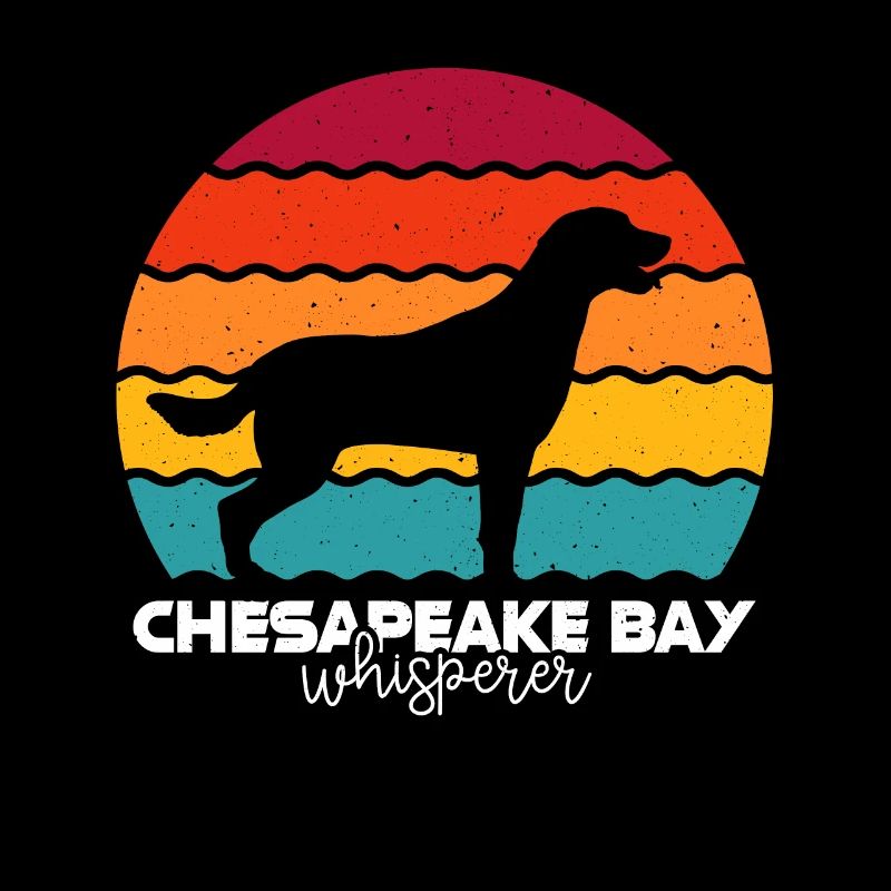Chesapeake Bay Retriever