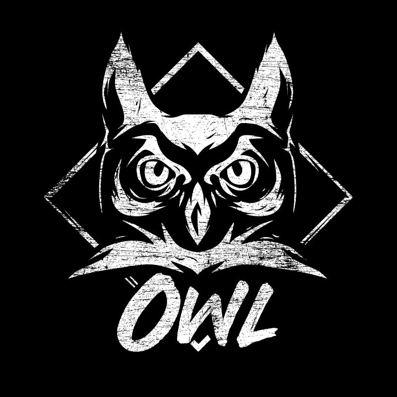 Owl forest bird night active gift