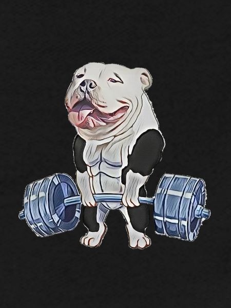 Muscle Bully
