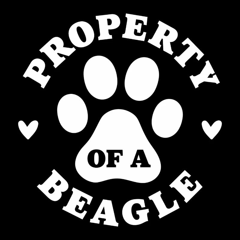 Eigentum eines Beagle