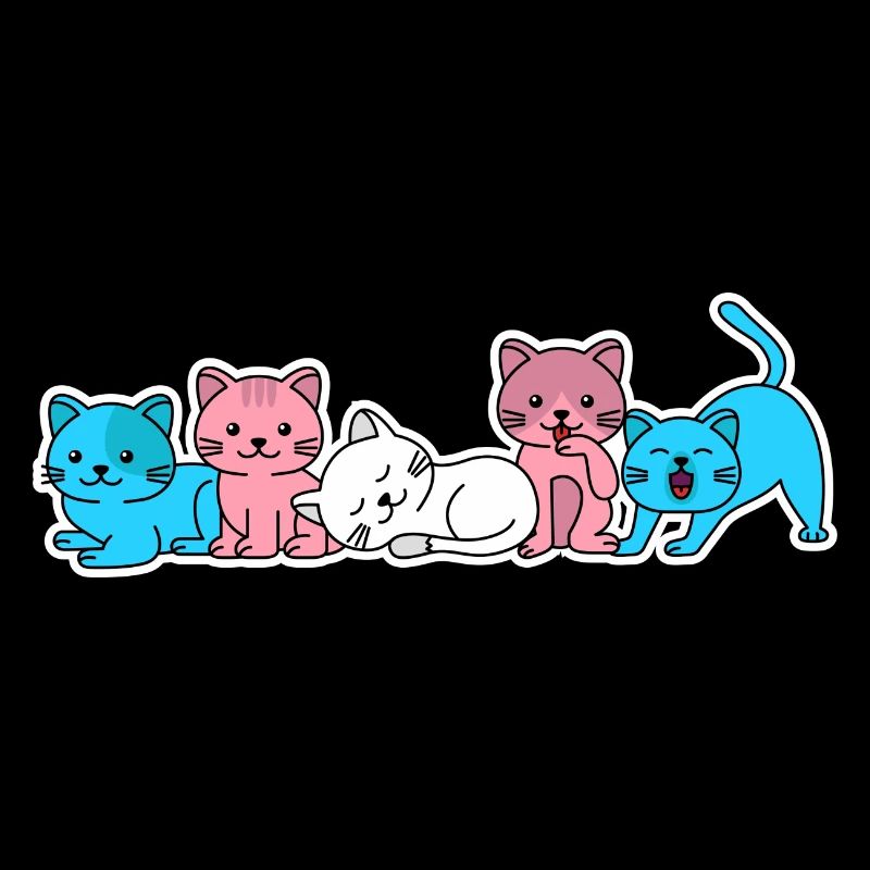 Conception de chat trans flag pour les personnes trans