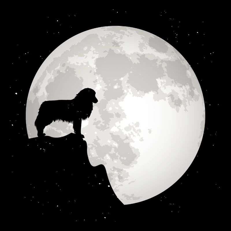 Australian Shepherd