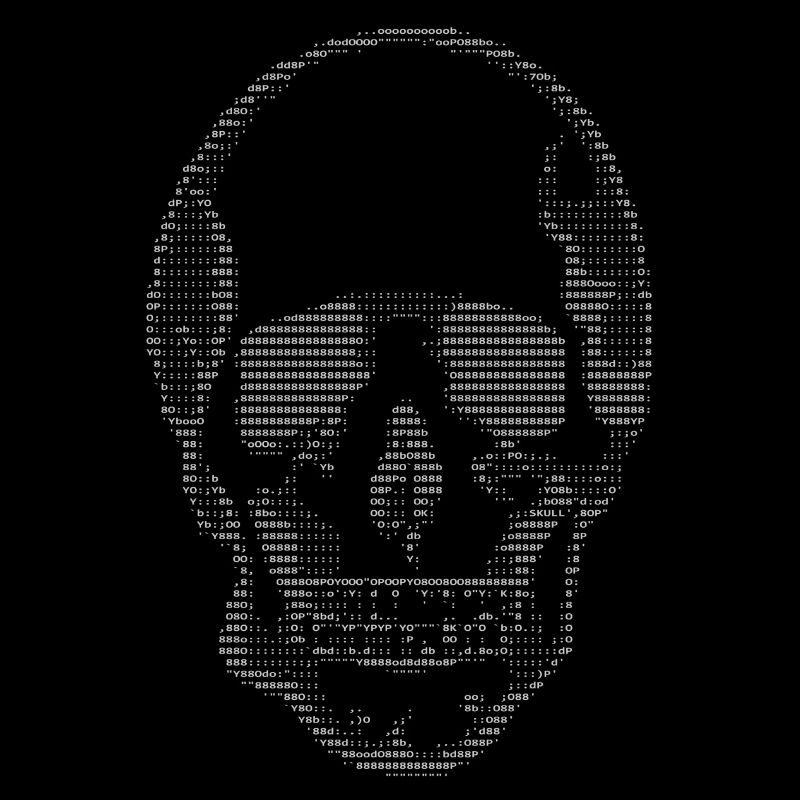 Code ASCII (Skull-One-Edition)