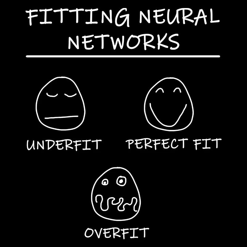 Datascience: Neural Networks Model Fitting (White)