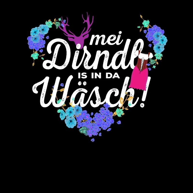 Mei Dirndl is in da Wäsch Dirndlersatz
