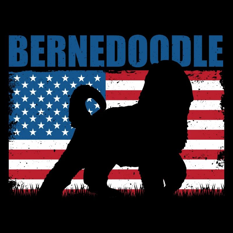 Bernedoodle Hund