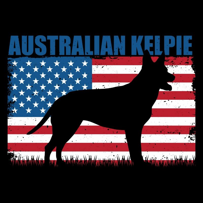 Kelpie australien