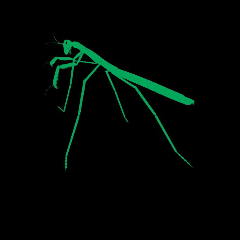 Minimalist insects Praying praying mantis