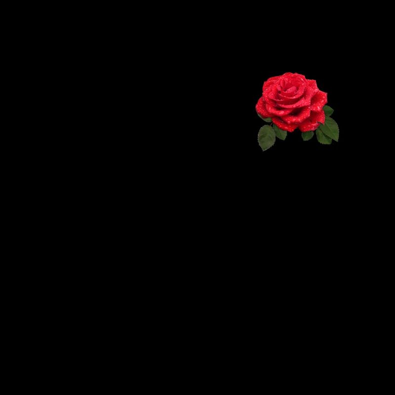 Red Rose Design Gift Idea