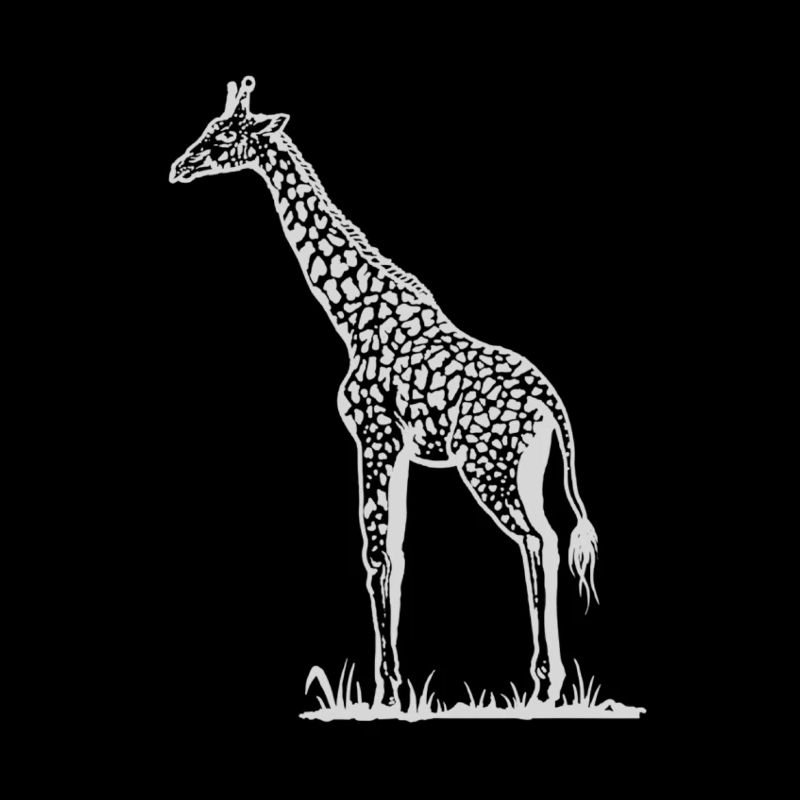giraffa