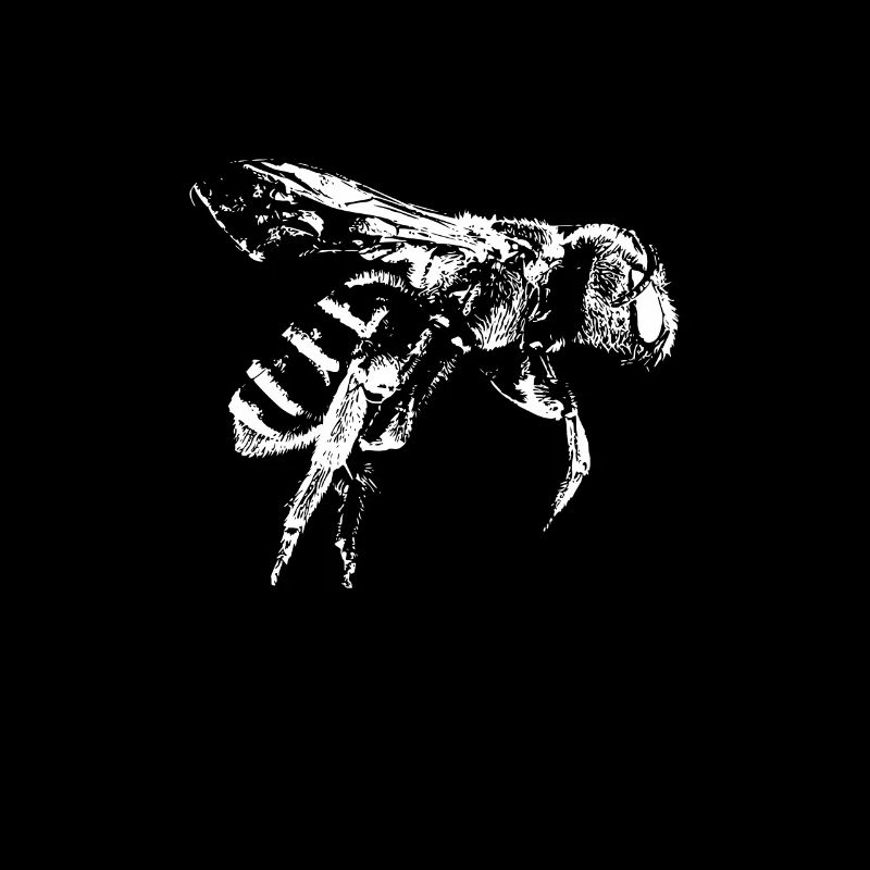 Flying bee honeybee drawing gift