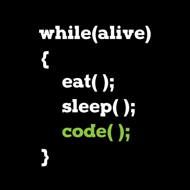 Java programmer computer scientist loop