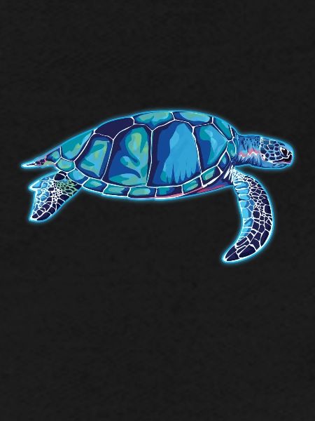 tortues