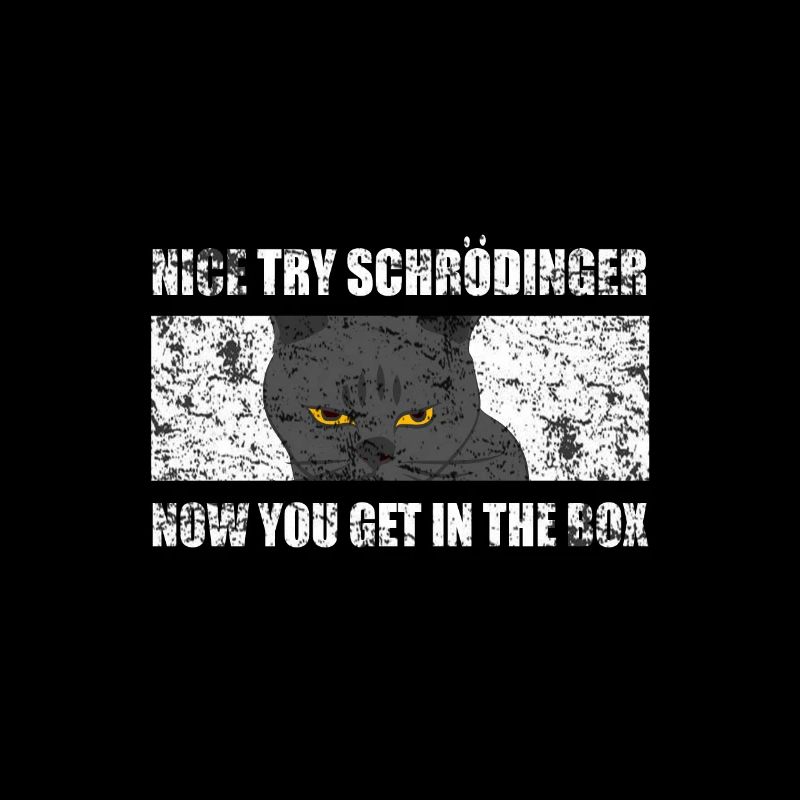 Physique Chat de Schrödinger