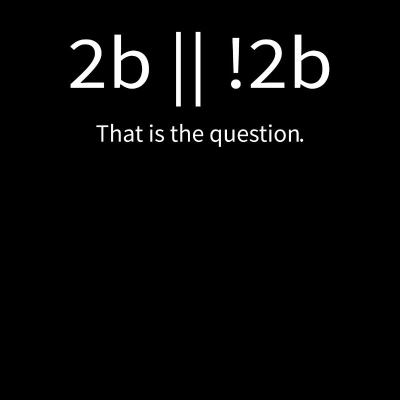 2b lustiger cooler Programmierer sein oder nicht sein