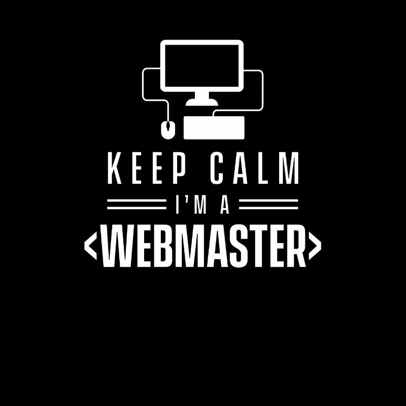 Web Master développeur webmasters web web team