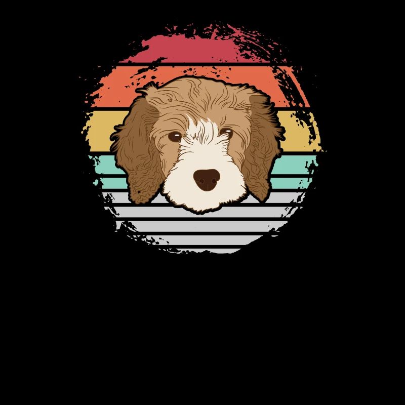 Cavapoo dog