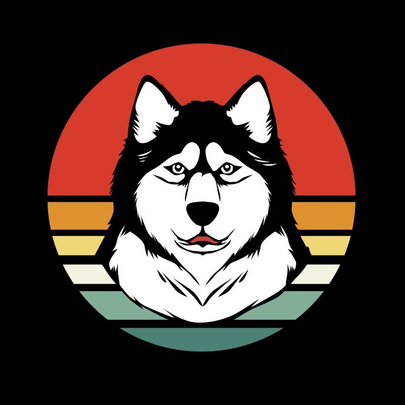 Malamute sled dog