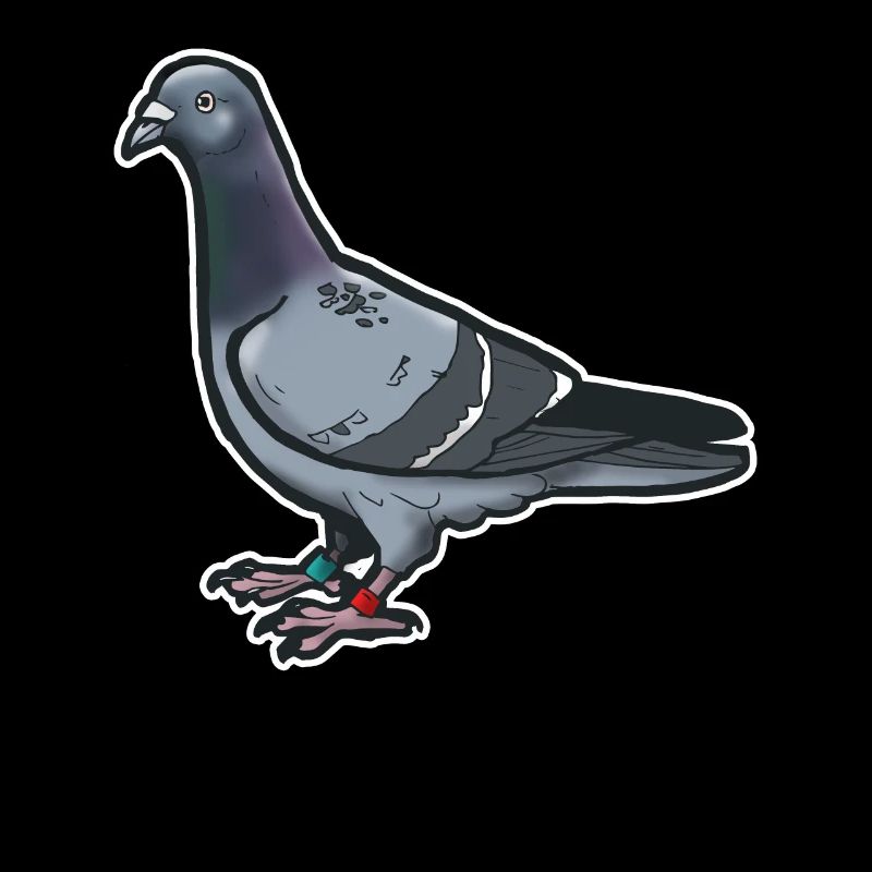 Comic Lustige Taube Vogel Geschenkidee Brieftaube