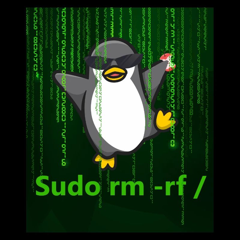 Pingouin Linux Sudo