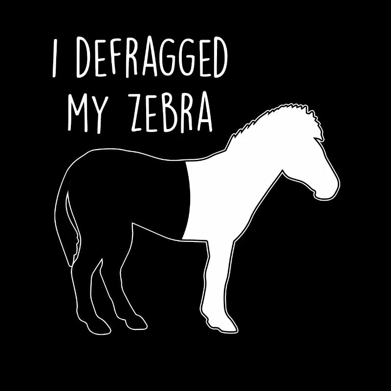 I defragged my Zebra Coder Informatiker Hacker