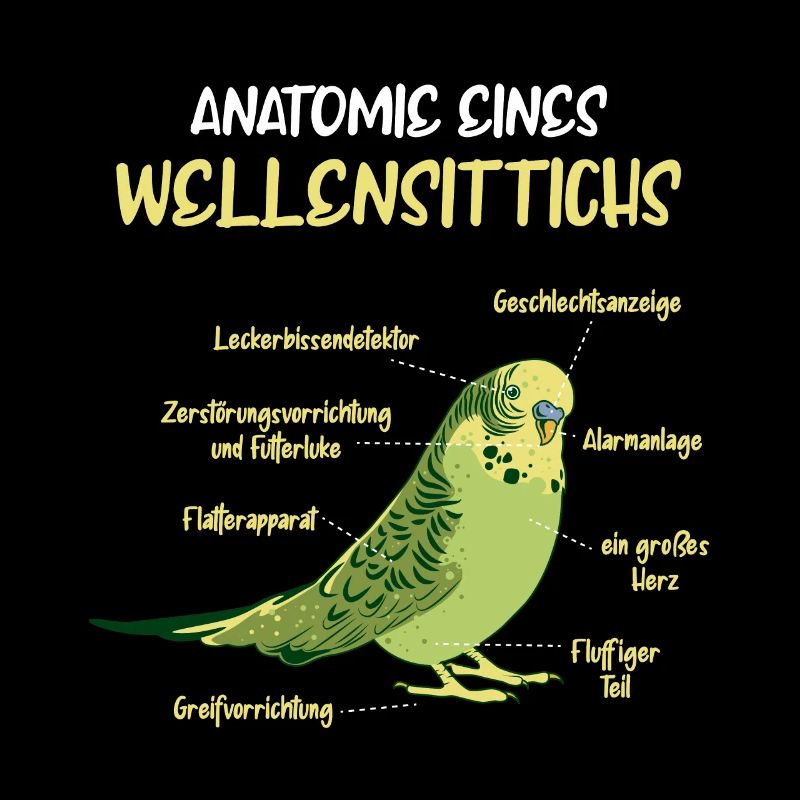 Anatomie d’une perruche à perruche