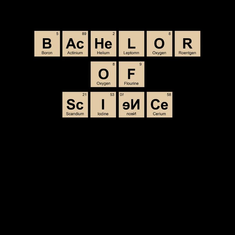 Bachelorabschluss Bachelor of Science Bachelor