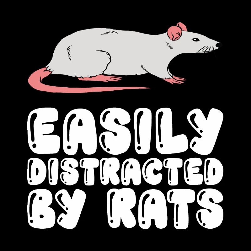 Facilement distrait par les rats
