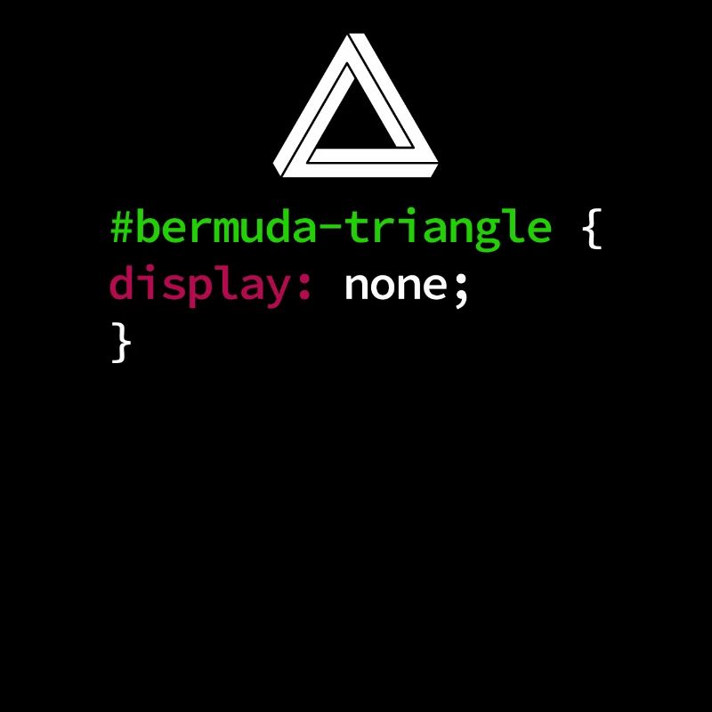 Code de codage des développeurs de programmeurs Web et CSS
