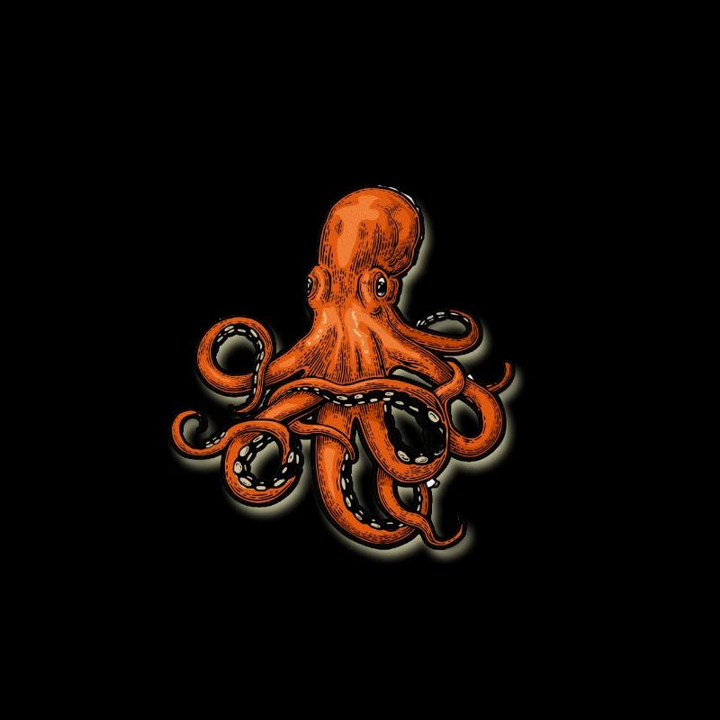 Octopus Octopoda Calmars Polyp Calamari Mer Cadeau