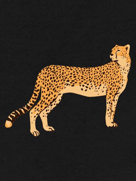Gepard