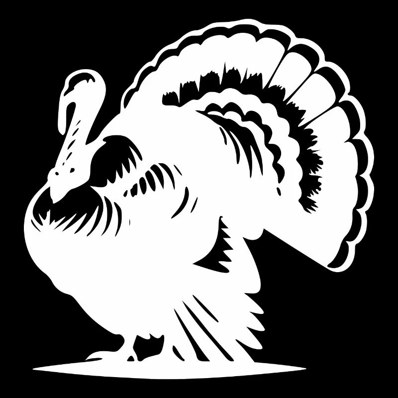 Funny poultry, turkey, huge plumage