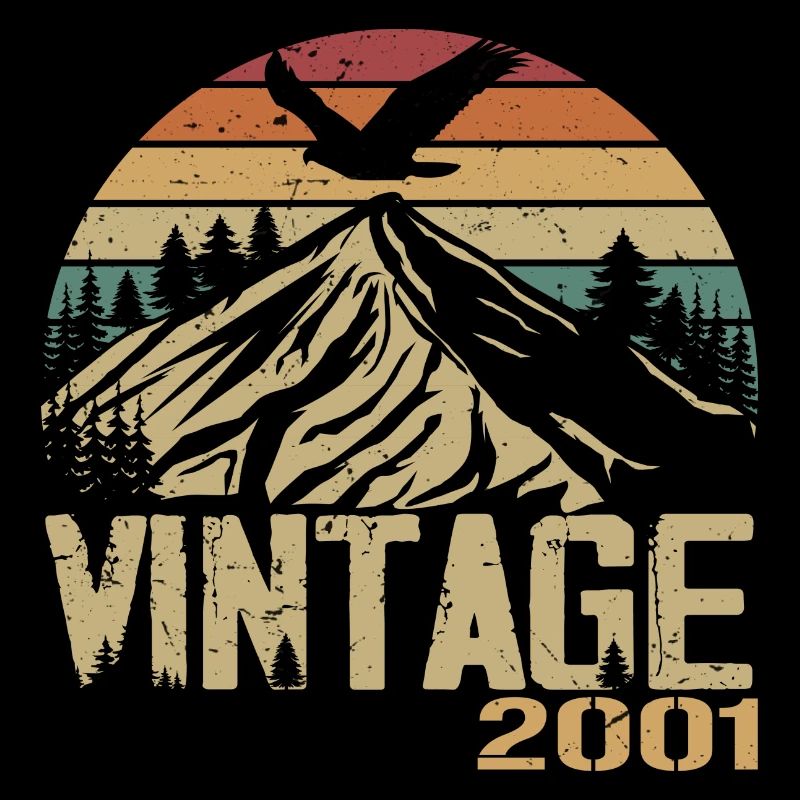 Jahrgang 2001 Retro 2001 Jubiläumsgeschenk