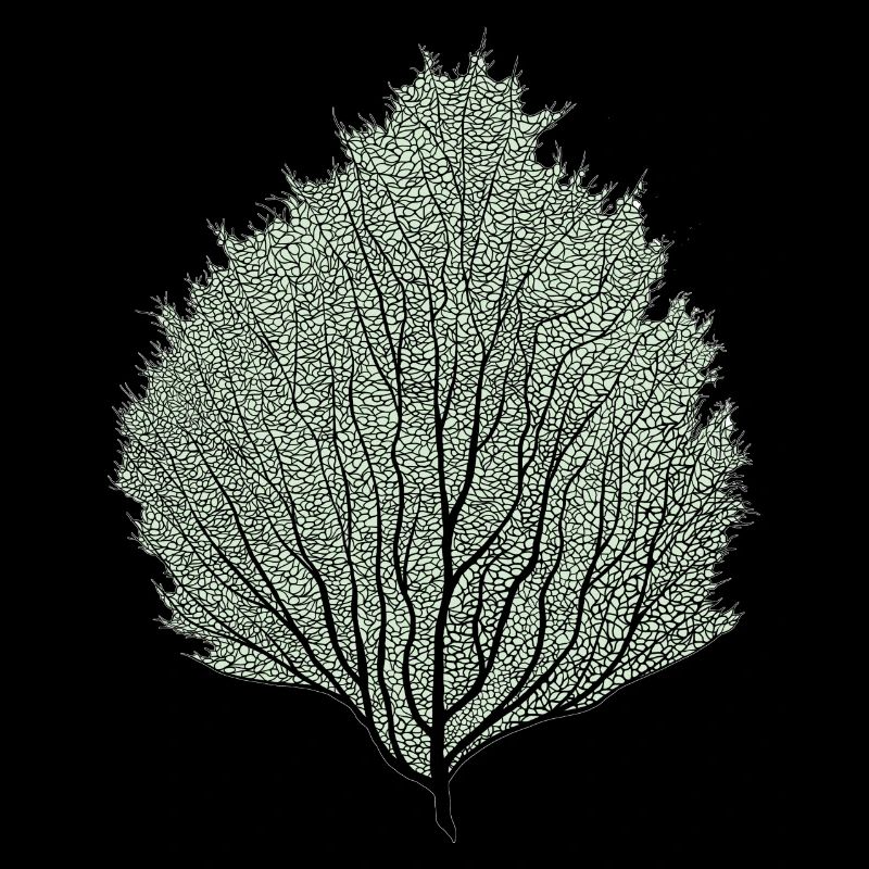 feuille