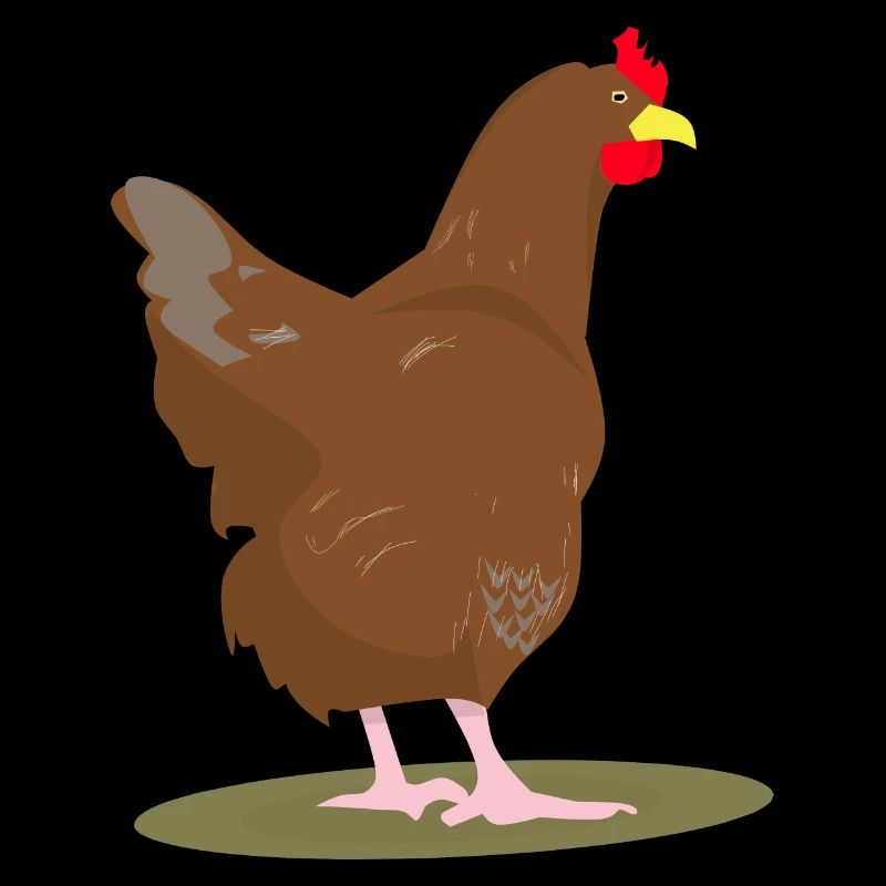 CHICKEN - HAHN - EGGS