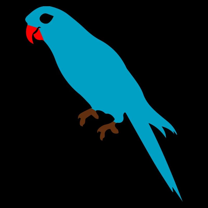 Budgie Parrot Budgerigar
