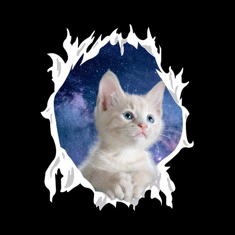 Cute 3D Kitten Cat - Gift