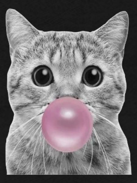 Chat bulle