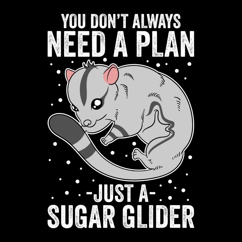 You Don't Always Need A Plan Just A Sugar Glider