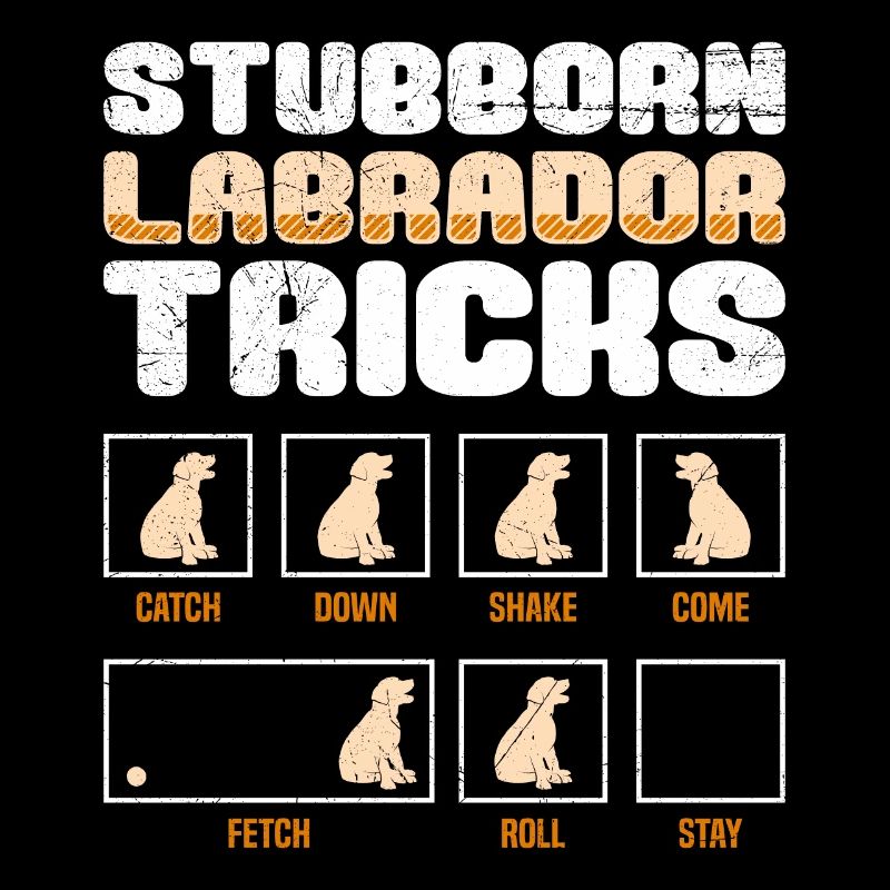Propriétaire du Labrador TRICKS LABRADOR TÊTU