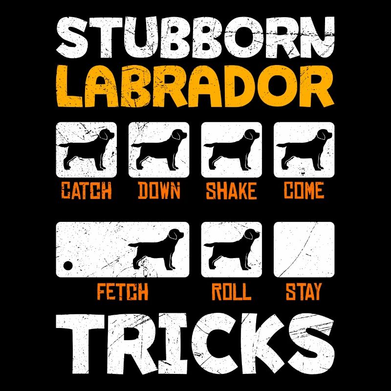 Propriétaire de Labrador ASTUCES DE LABRADOR TÊTU