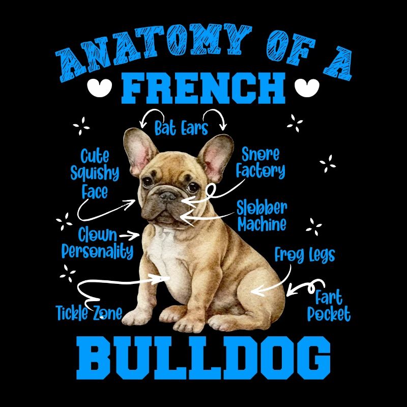 Frenchie Fan Merchandise Anatomie d’un bouledogue français