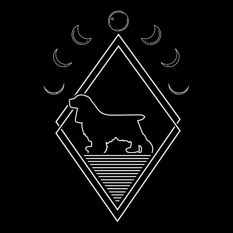 Cocker Spaniel Phases de Lune