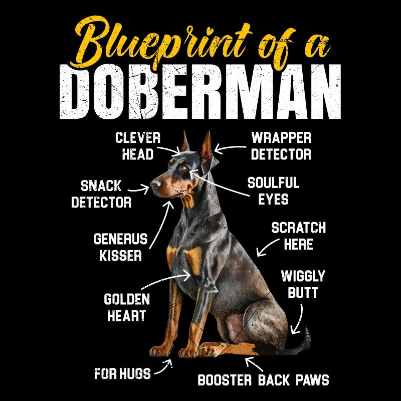 Doberman Chien PLAN D’UN DOBERMAN Drôle