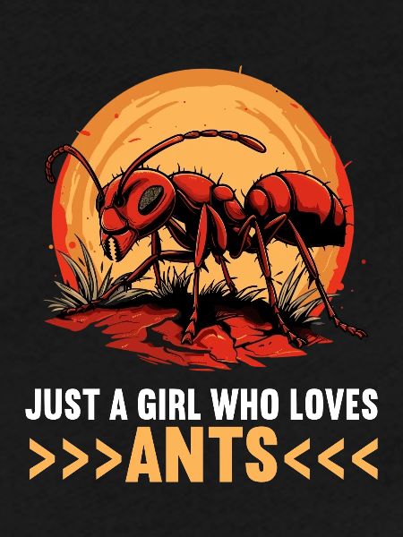 Fourmis fourmis