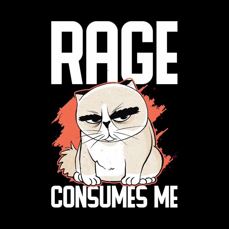 Chat Gras Gros Chat Humour Mème