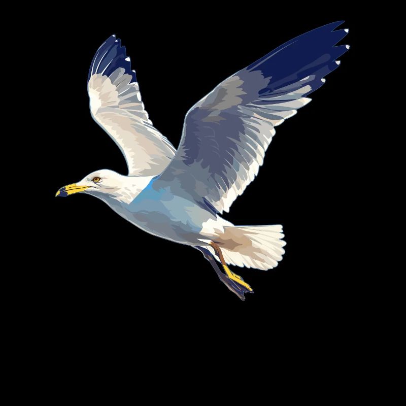 Seagulls Seagull