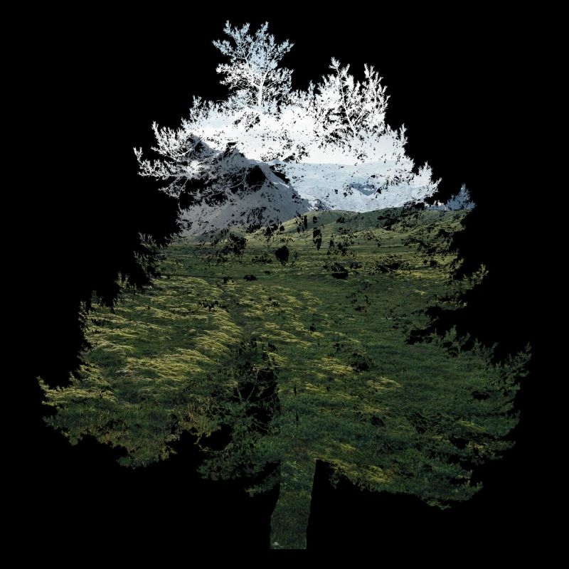 tree landscape