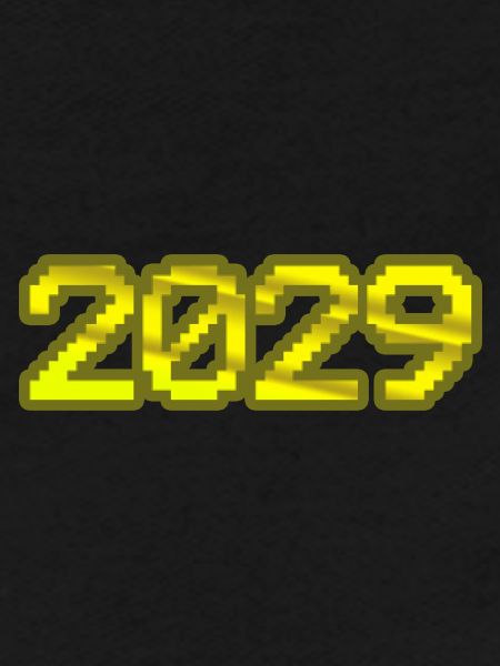 Computer 2029